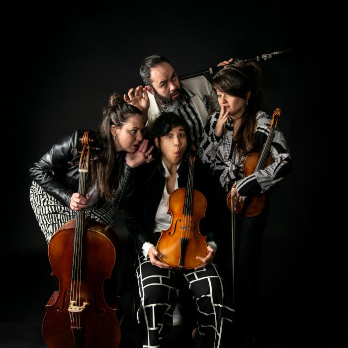 Habenhauser Schafferkonzerte – KLASSIK Ensemble Quarttitude